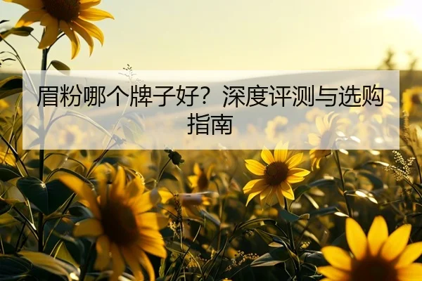 眉粉哪个牌子好？深度评测与选购指南